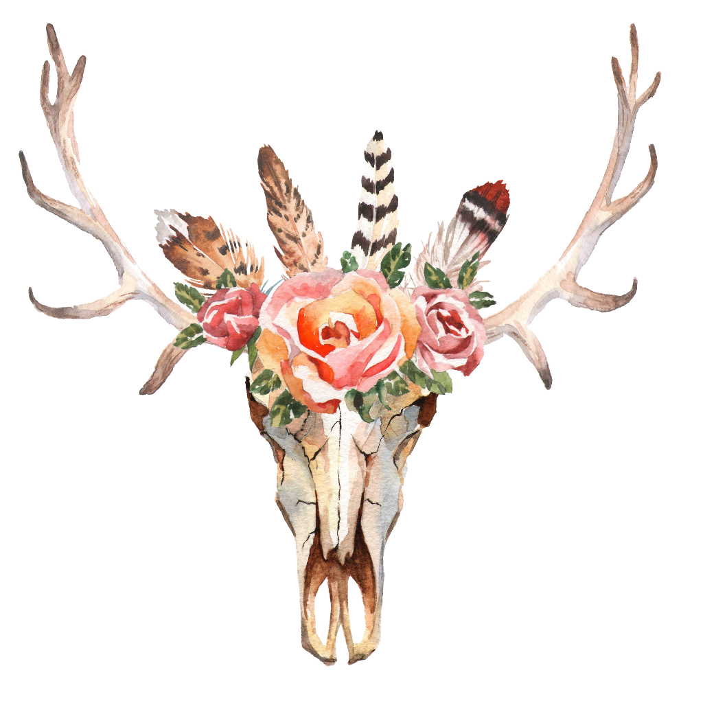 flower clipart skull