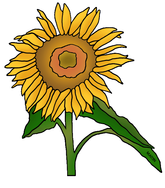 flowers clipart sunflower