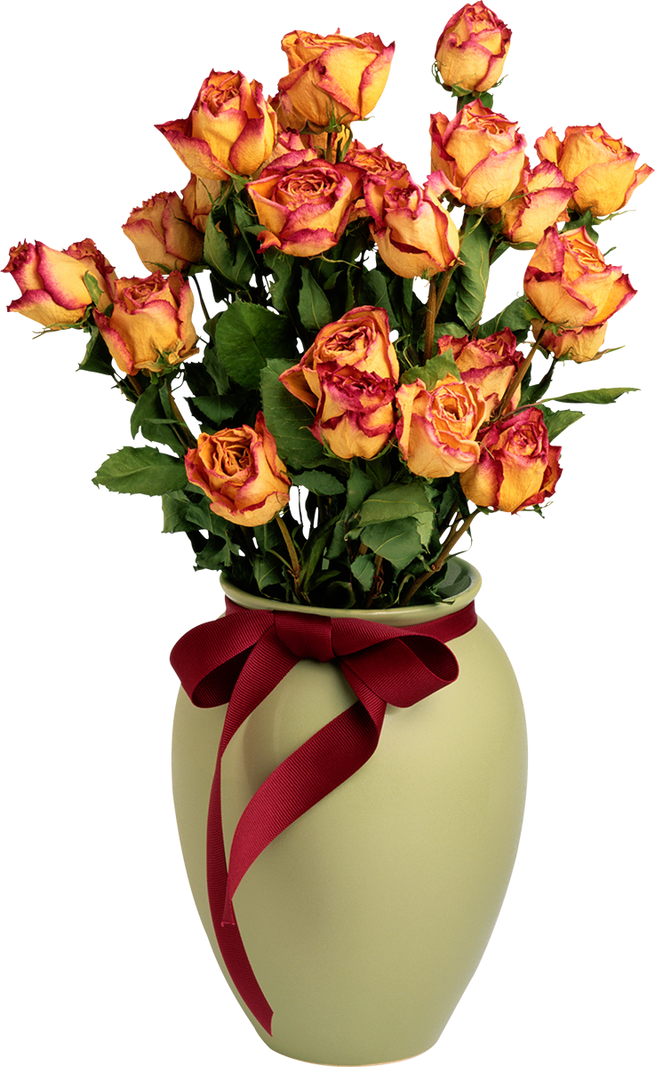 With orange roses png. Peony clipart vase
