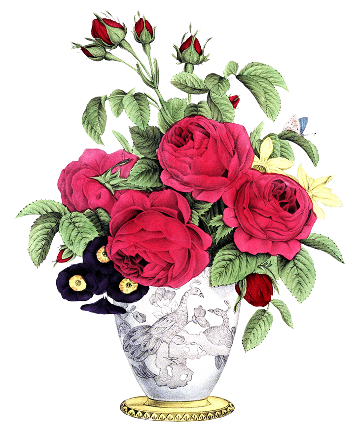 clipart flowers vase