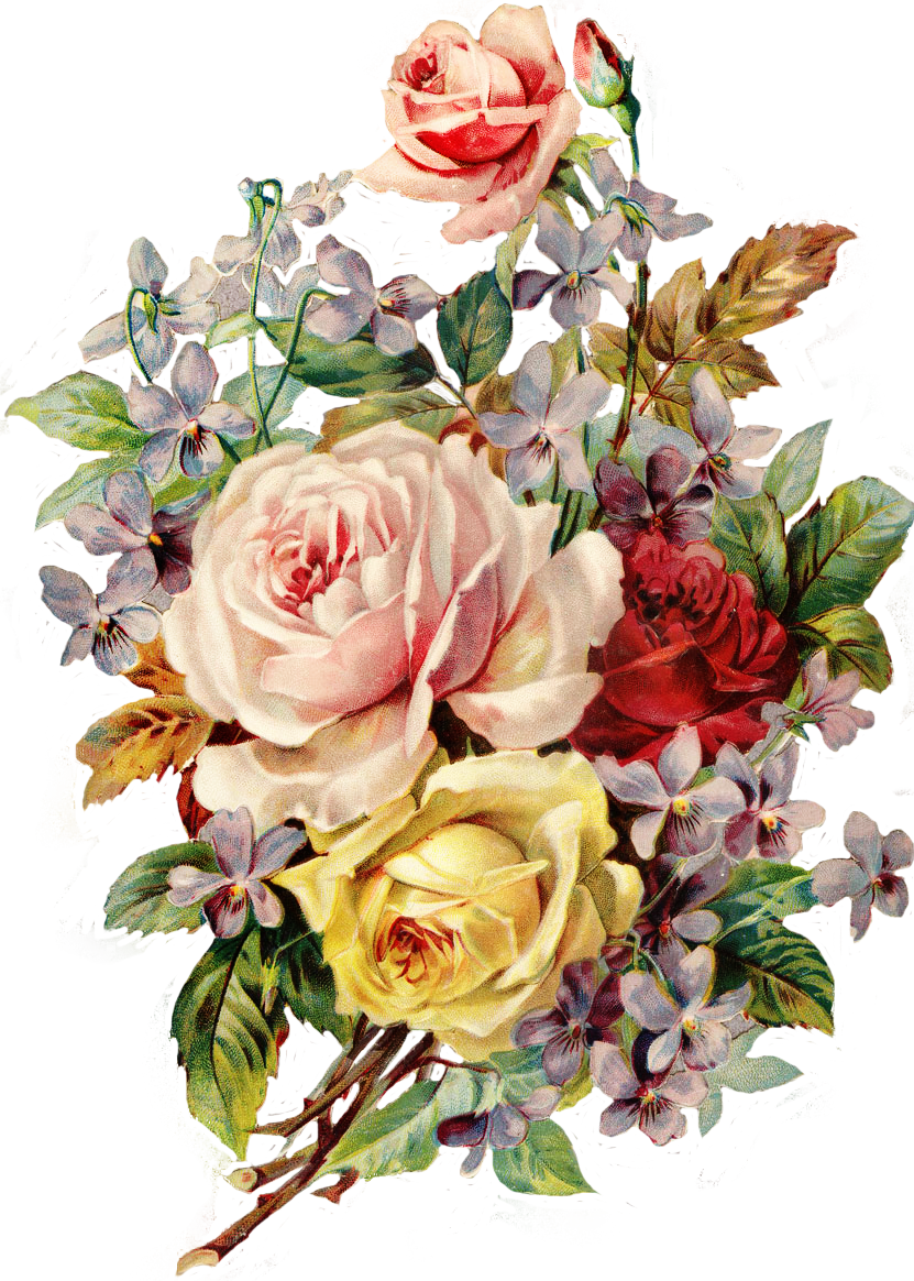 peony clipart victorian flower