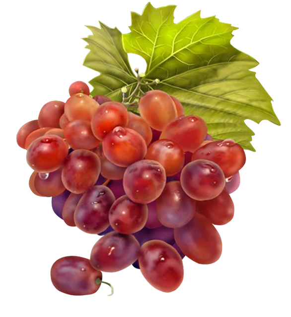 clipart food grape