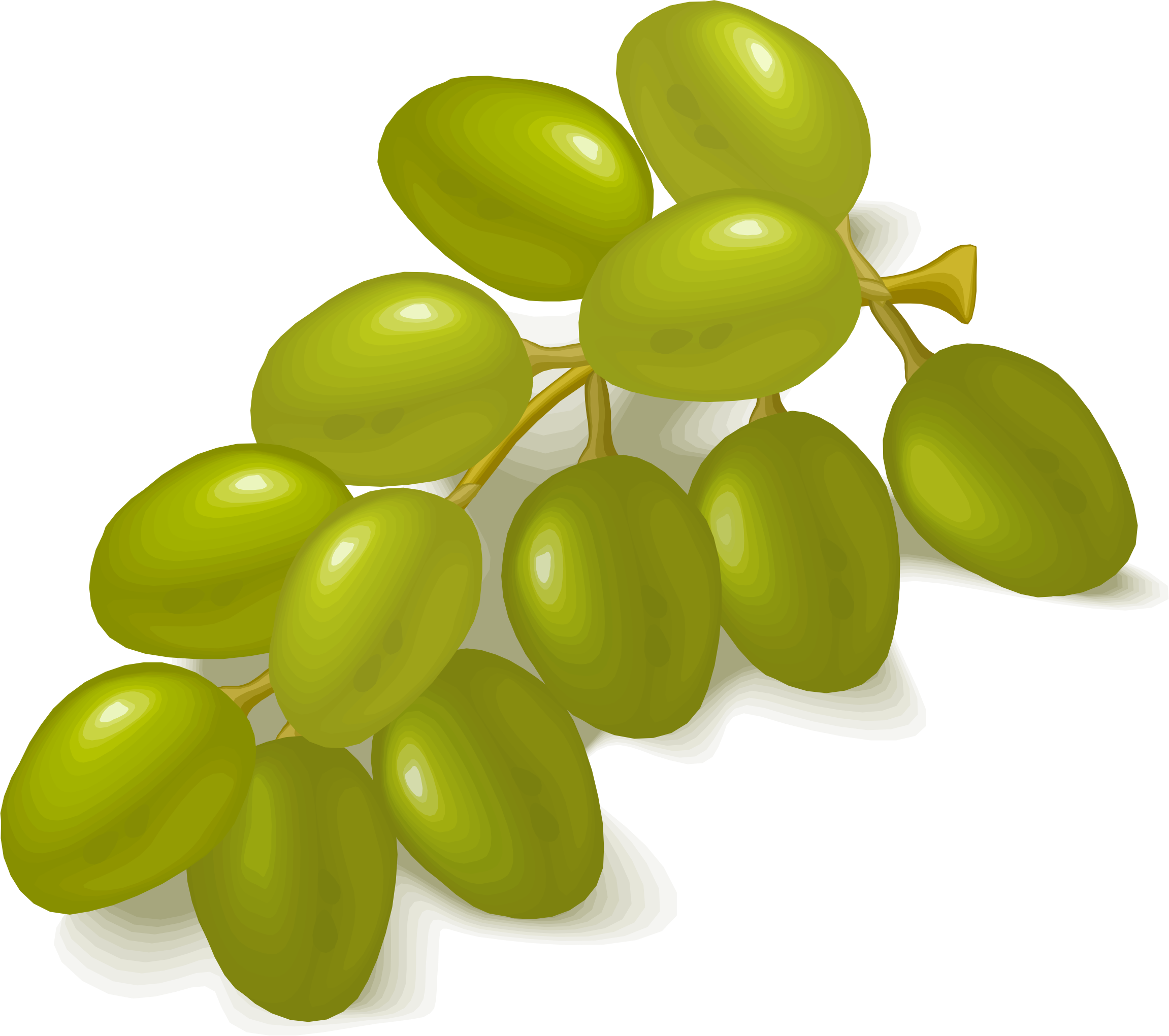 olive clipart grape