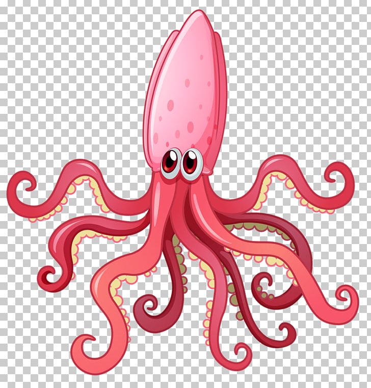 octopus clipart cephalopod