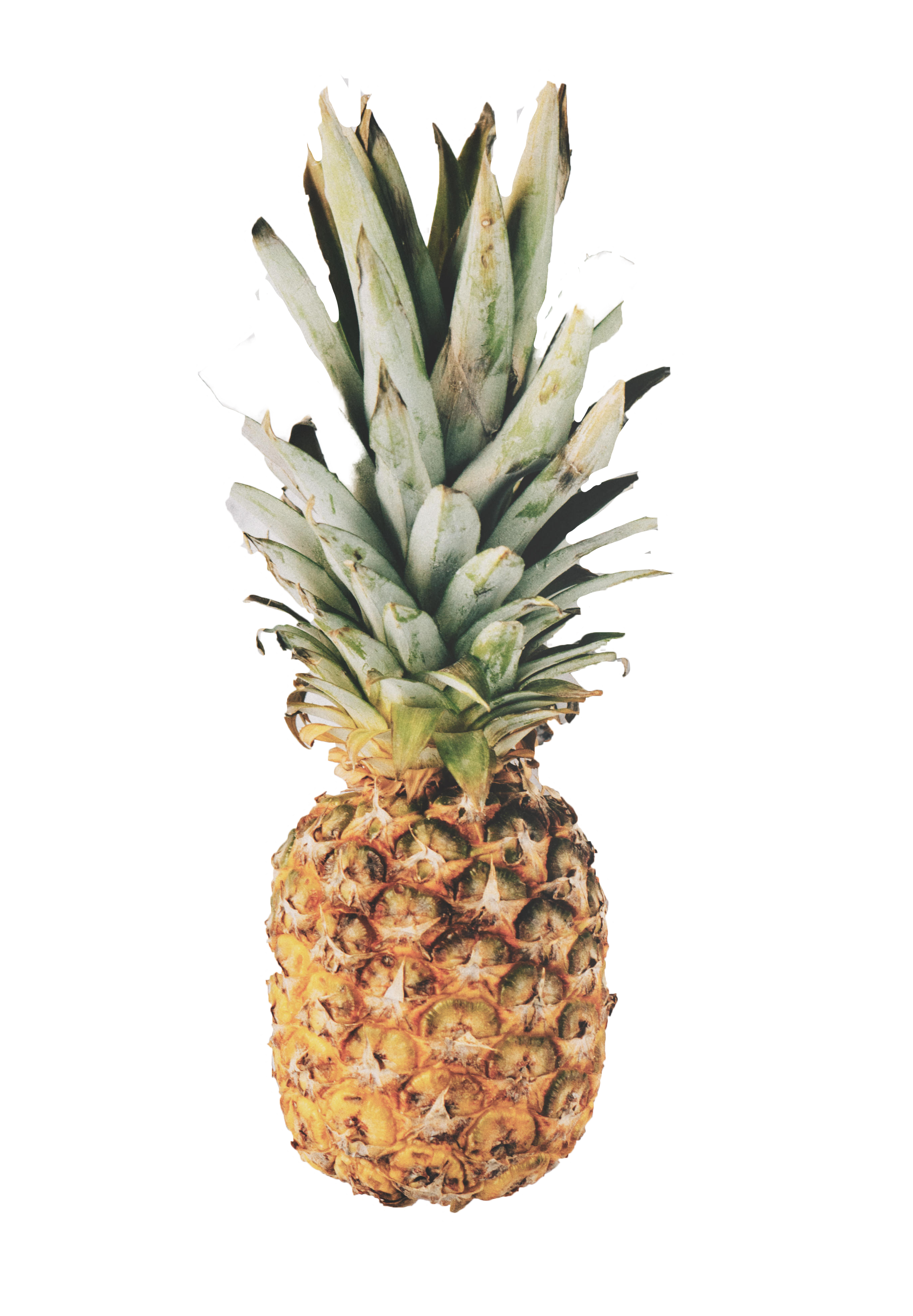 clipart pineapple piece