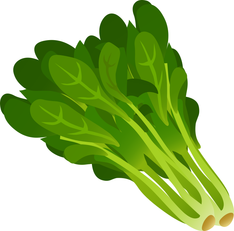 Foods clipart plant. Food spinach medium image