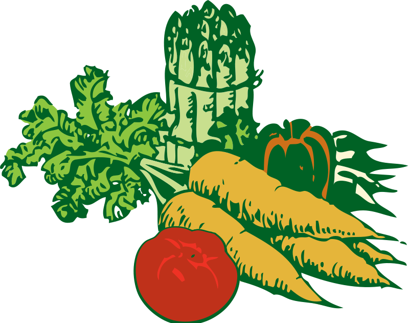 Vegetable plant . Clipart vegetables border design