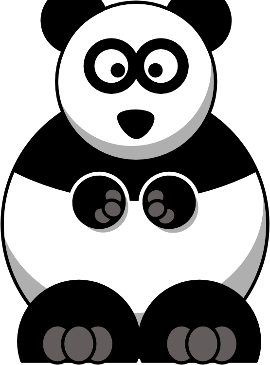 Panda panda cub
