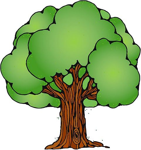  rboles karmelina webov. Forest clipart arboles