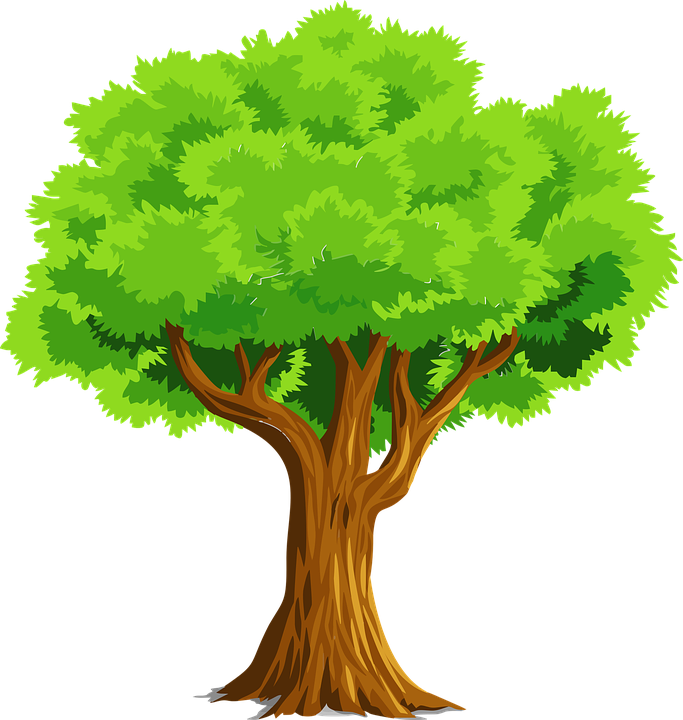 roots clipart language tree