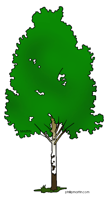 State tree of new. Farm clipart path