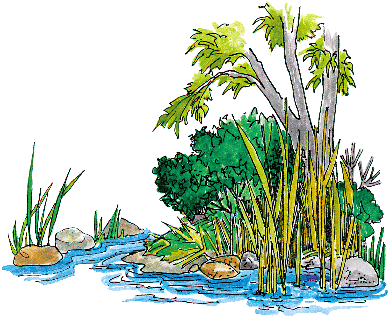 Vector wooden bridge over. Clipart forest creek