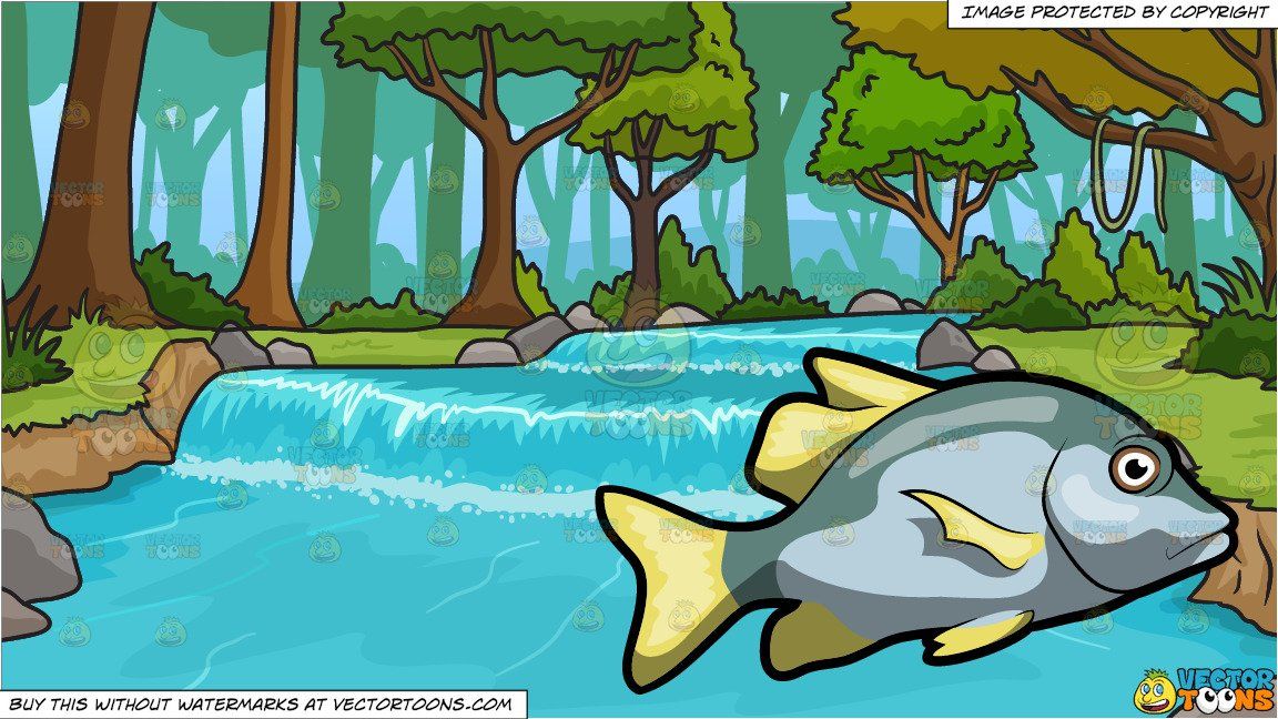 Clipart forest creek. Cartoon a virginalis blotch