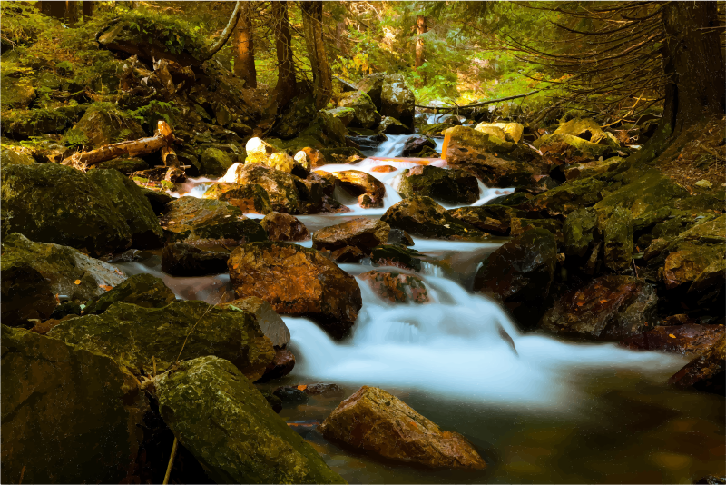 Nature clipart creek. Mountain stream in forest
