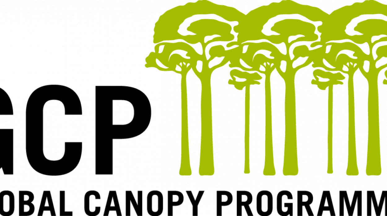 Rainforest clipart forest destruction. Can companies achieve zero