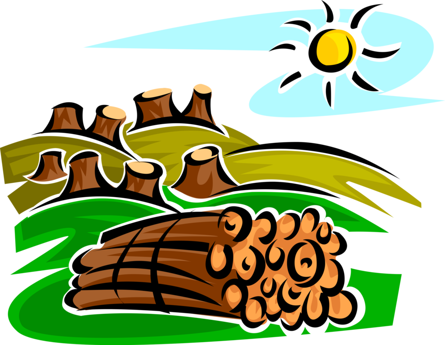 Gas clipart deforestation. Clearcutting stumps and logs
