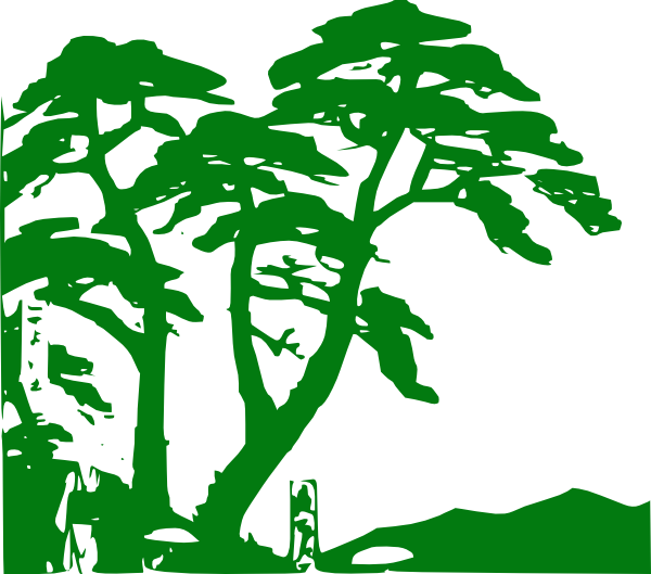 clipart forest evergreen tree