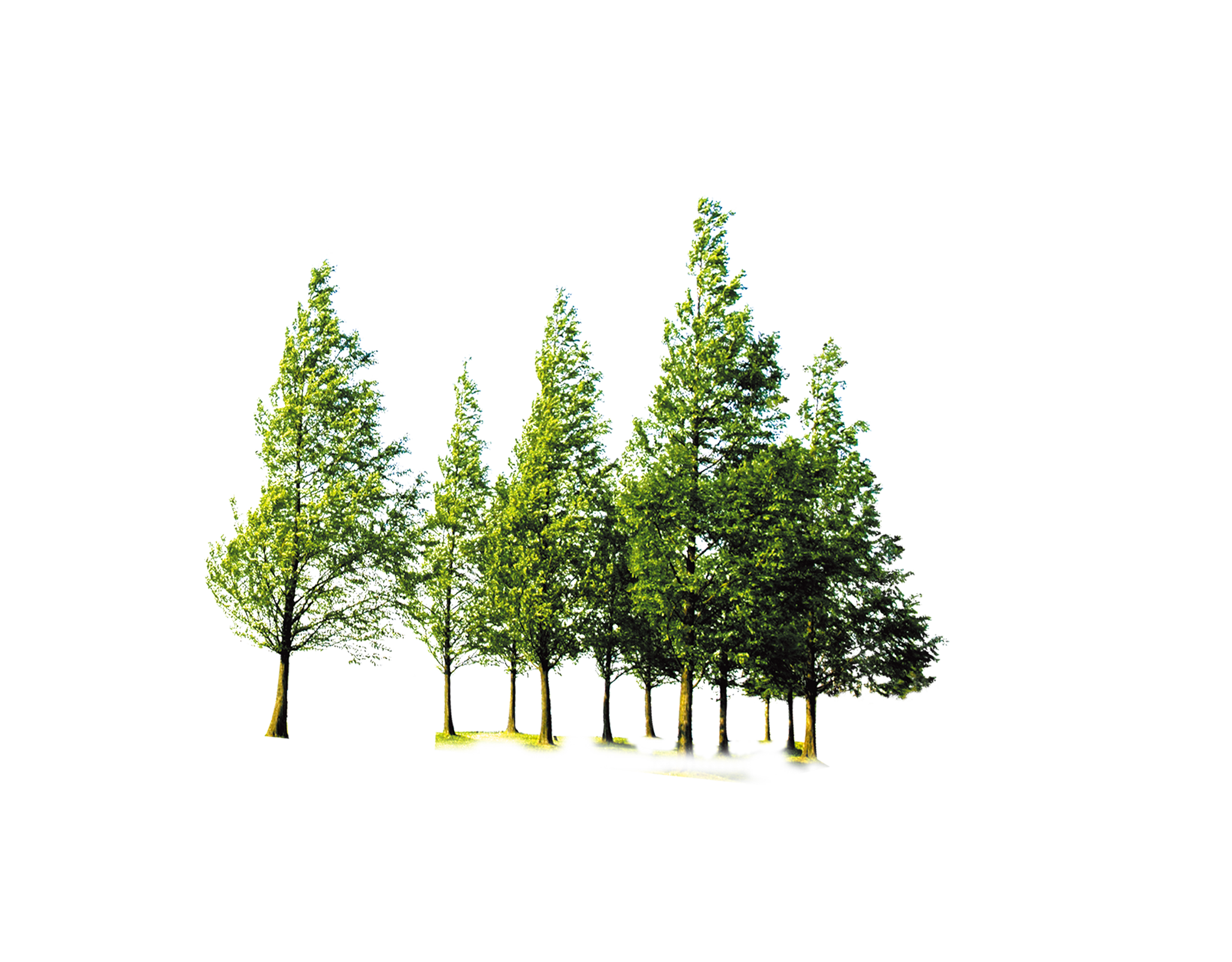 clipart forest file