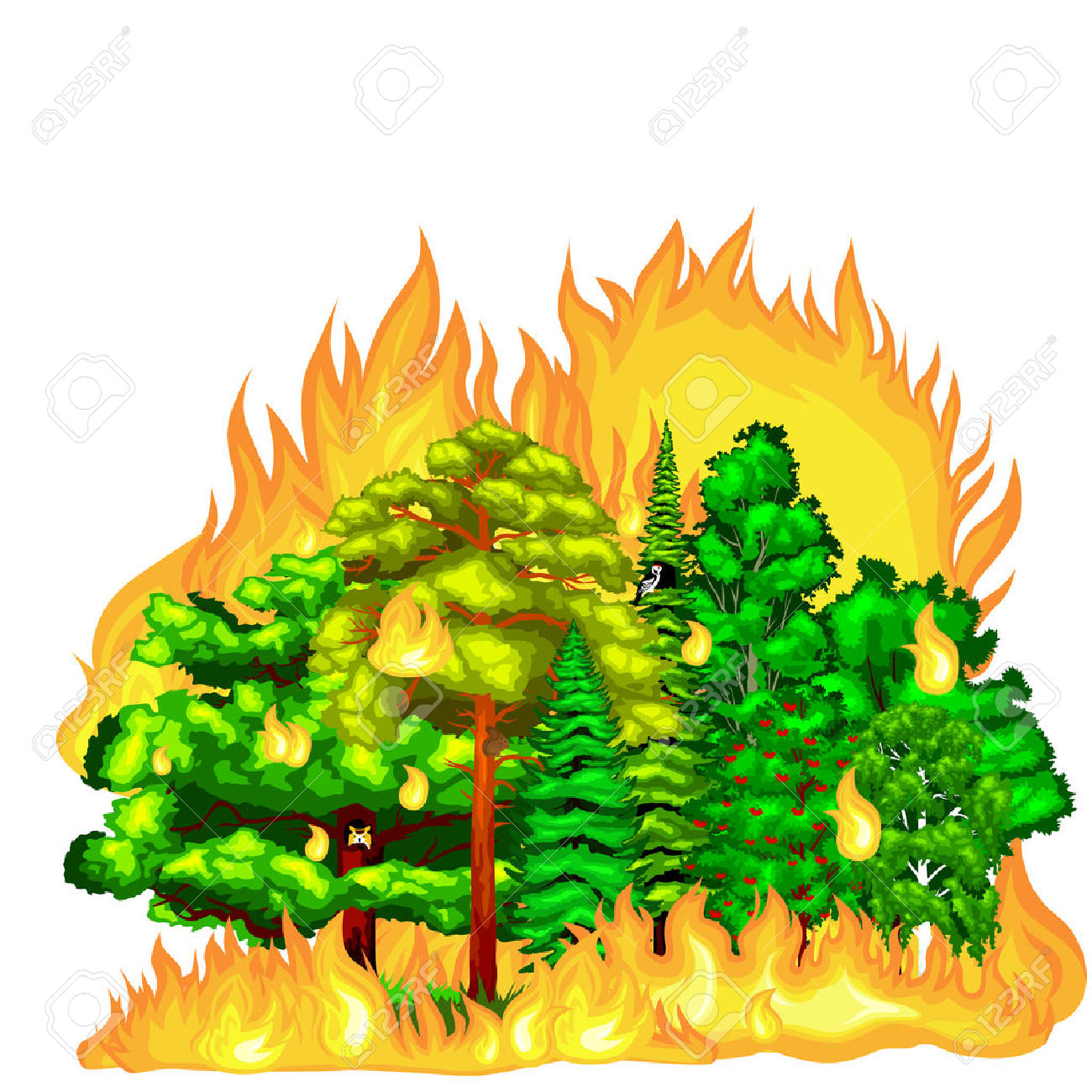 clipart forest fores