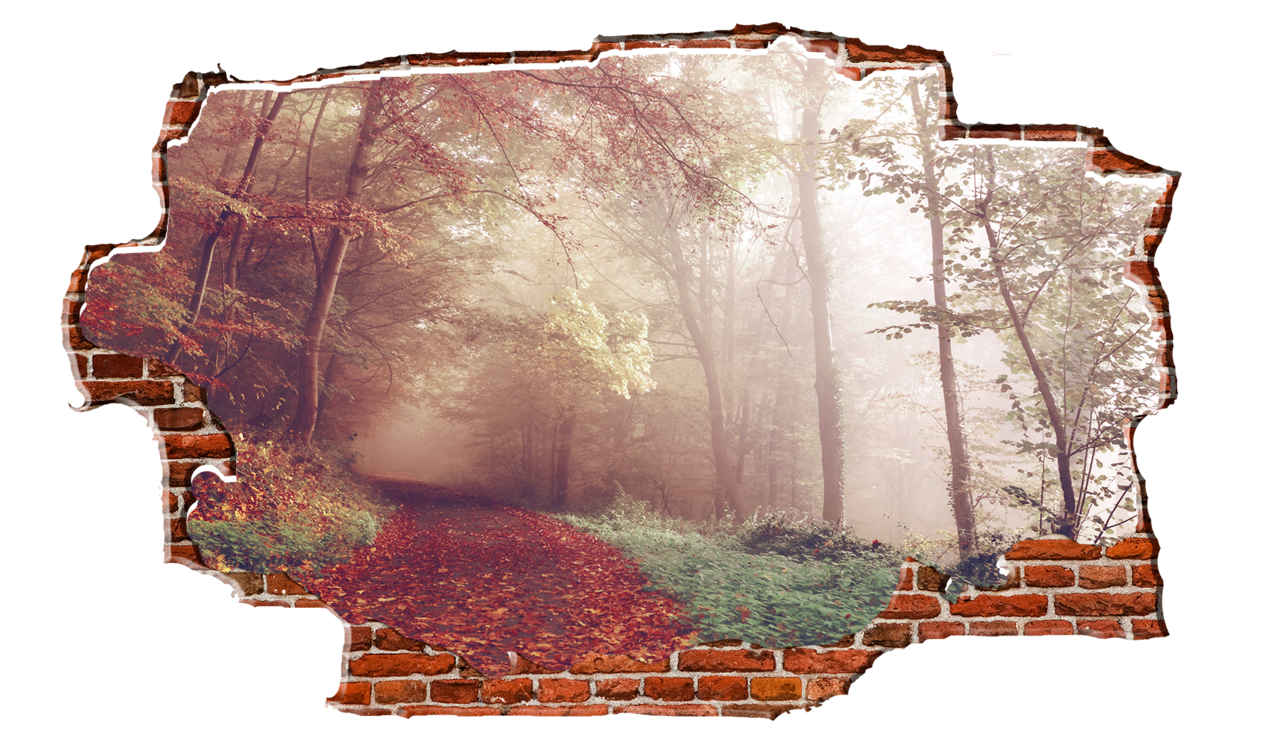 Clipart forest forest trail. Fall breaking wall nature
