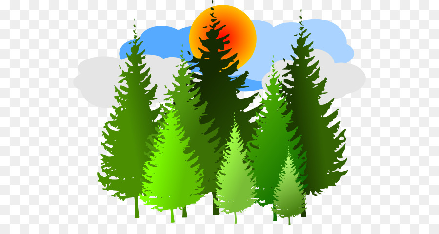 clipart forest forest tree
