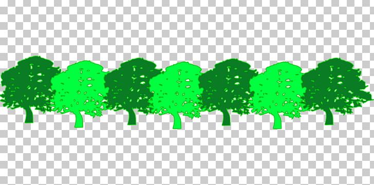 clipart forest forestry