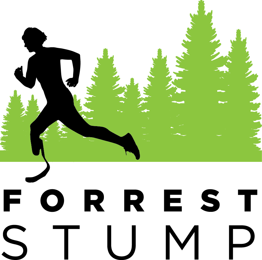 clipart forest forrest