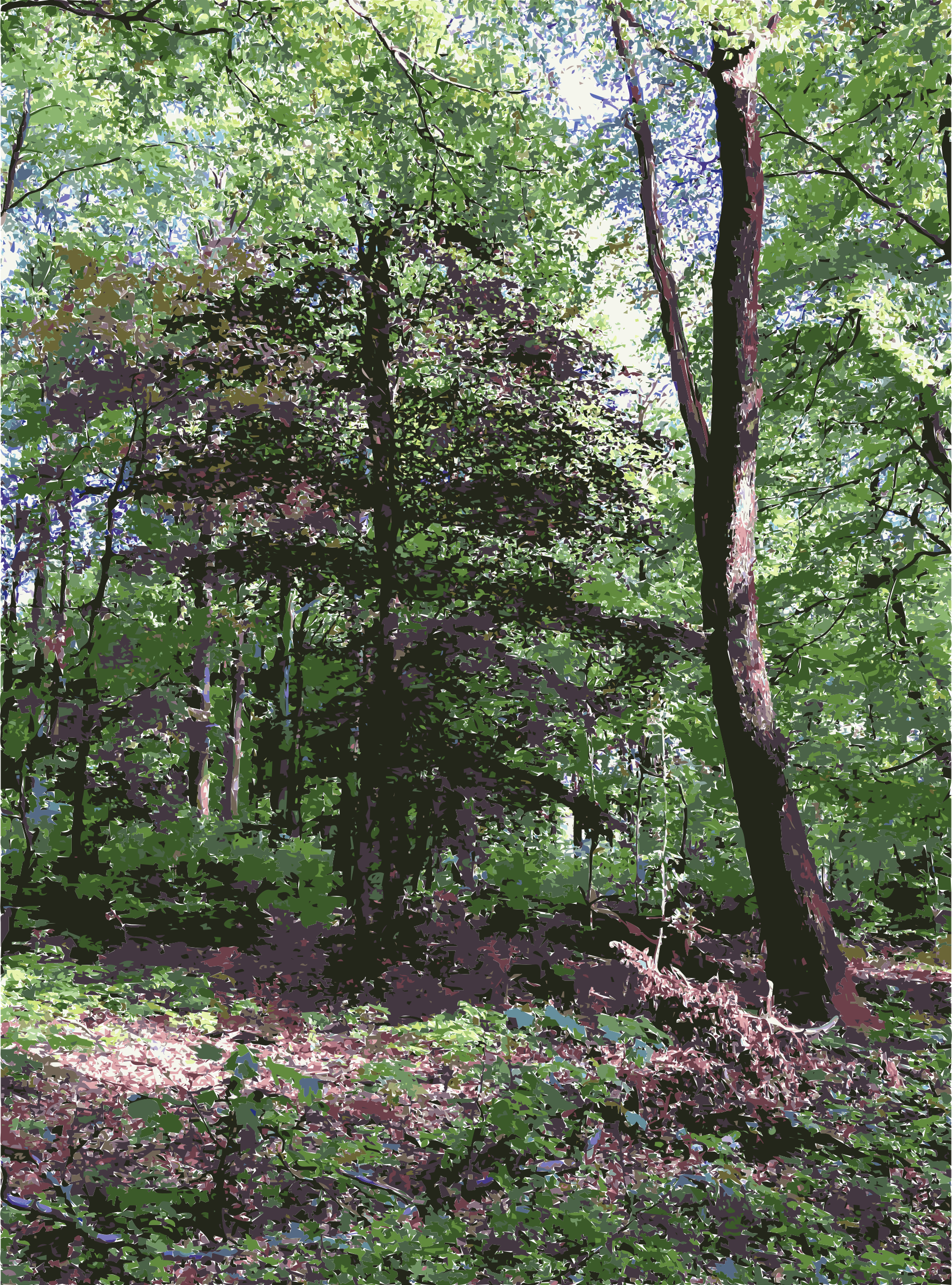 Woodland clipart natural vegetation. Lichtscheid forest again big