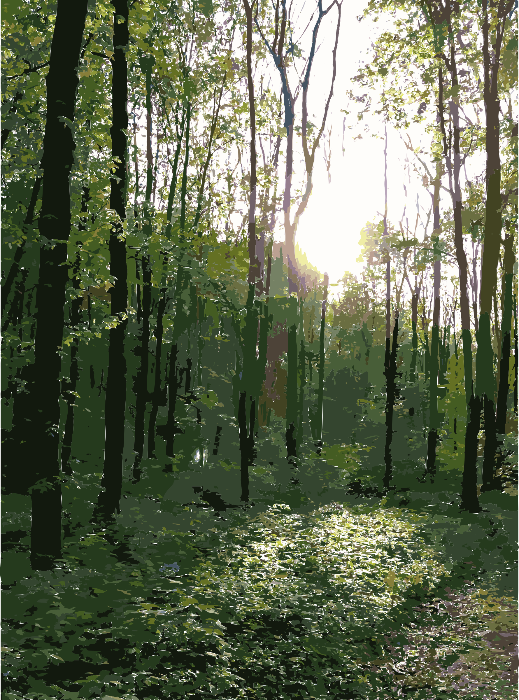 Woodland clipart natural vegetation. Lichtscheid forest again big