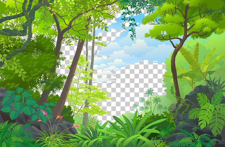 clipart forest jungle