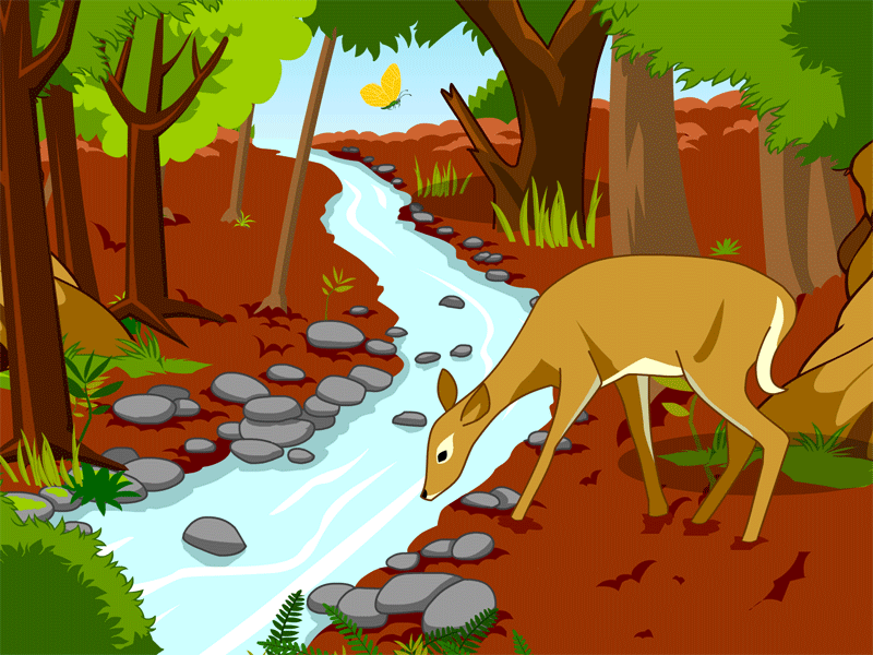 forest clipart forest habitat
