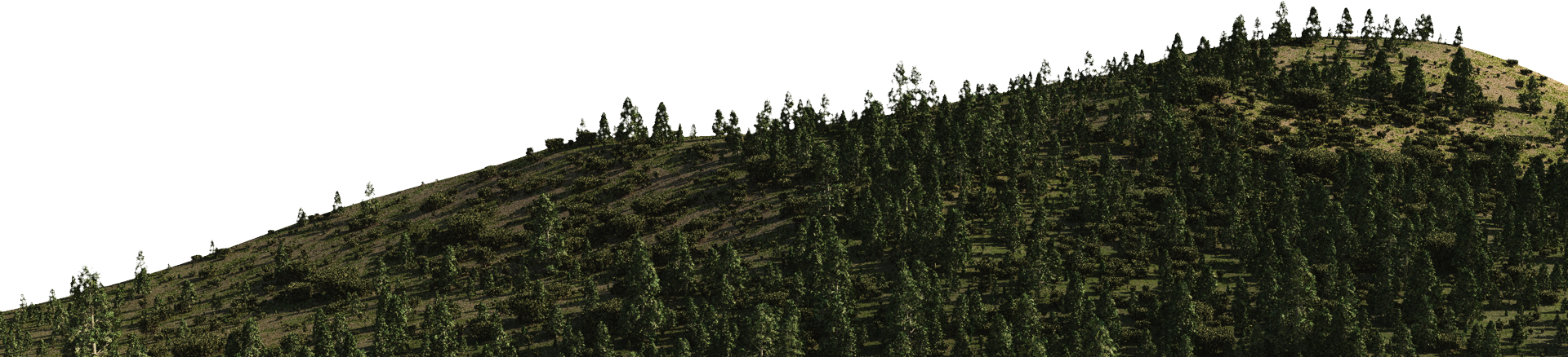 clipart forest mountains