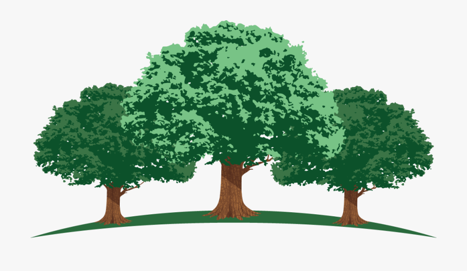 Straight road free cliparts. Clipart forest oak tree