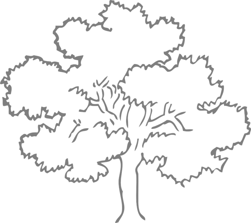 Clipart forest oak tree. Free image on pixabay