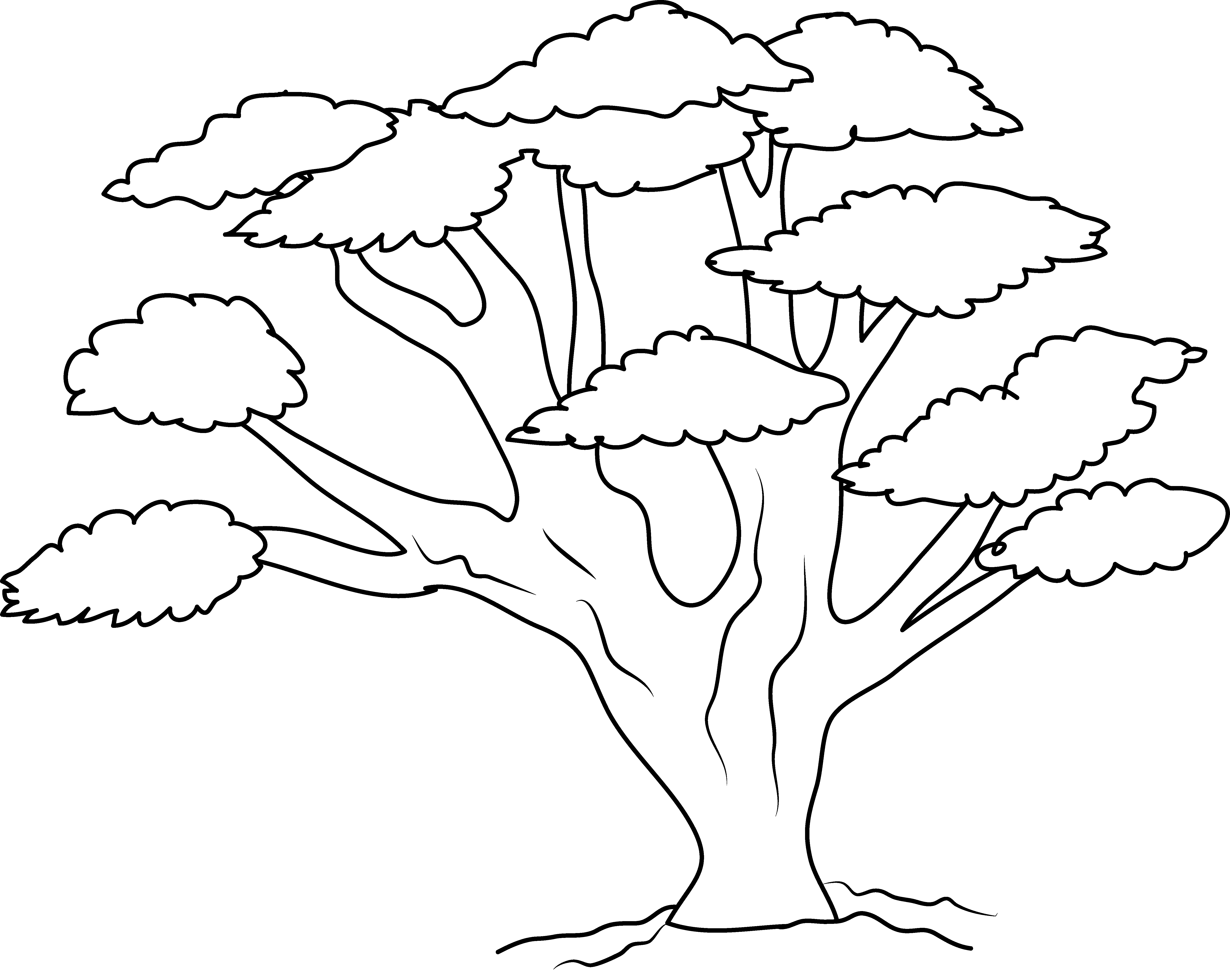Clipart forest oak tree. Coloring page free clip