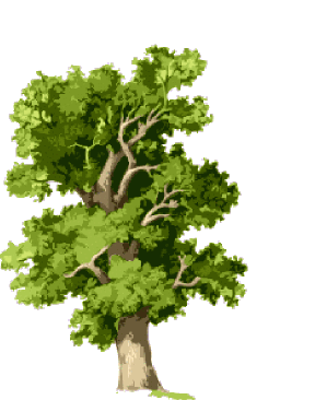 Clipart forest oak tree. Clip art free 