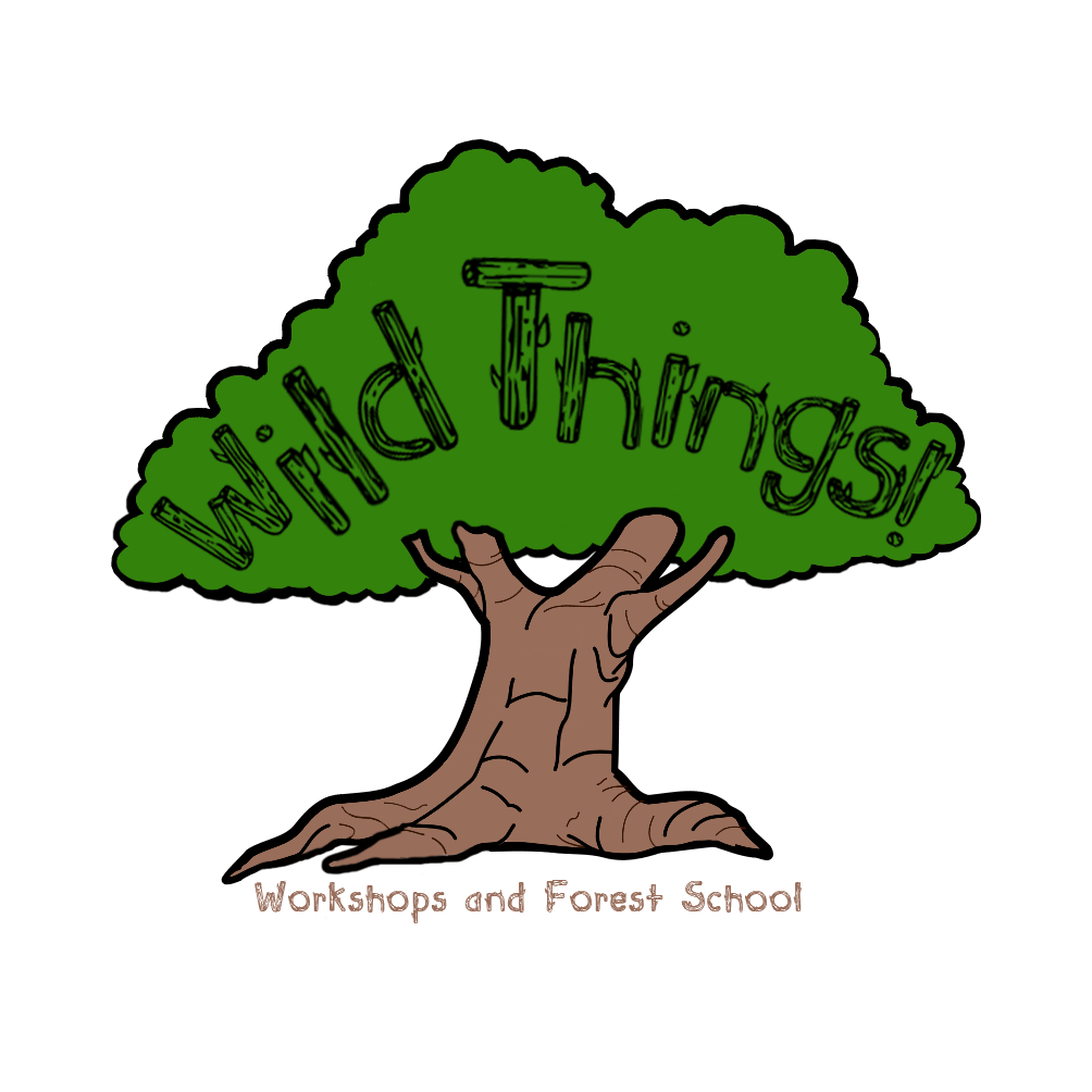 clipart forest outdoor education
