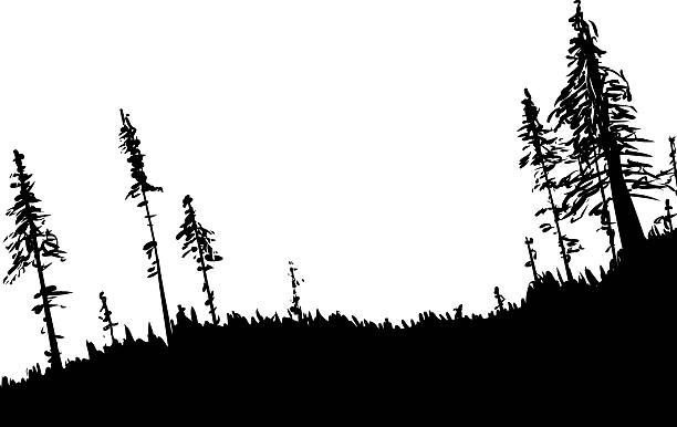 clipart forest outline