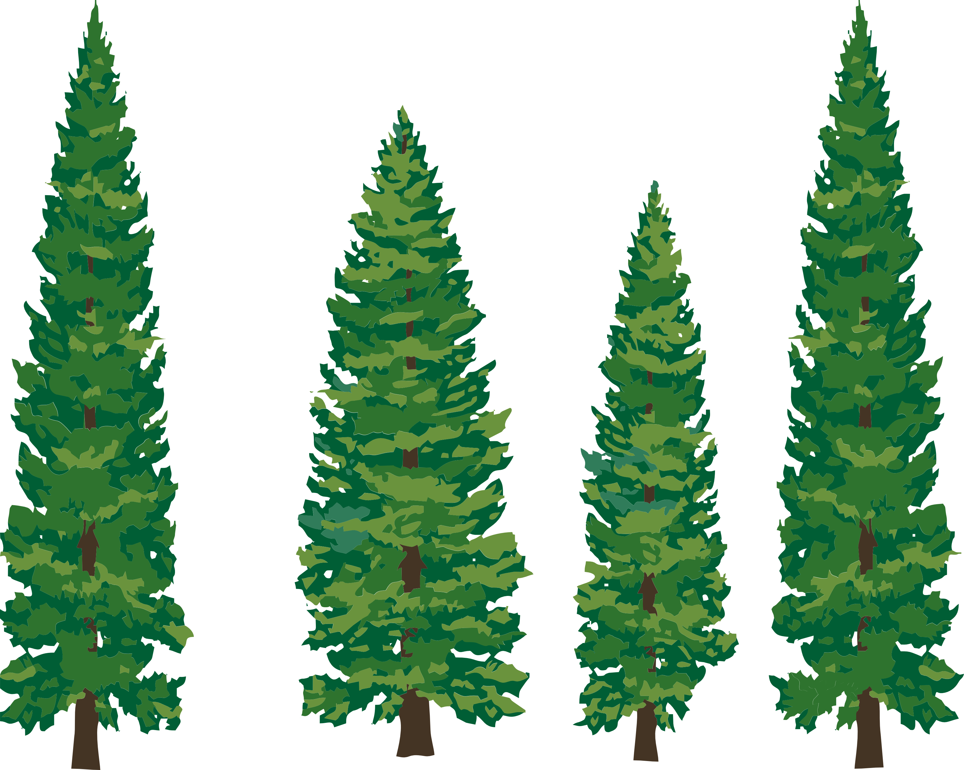 clipart forest pine tree