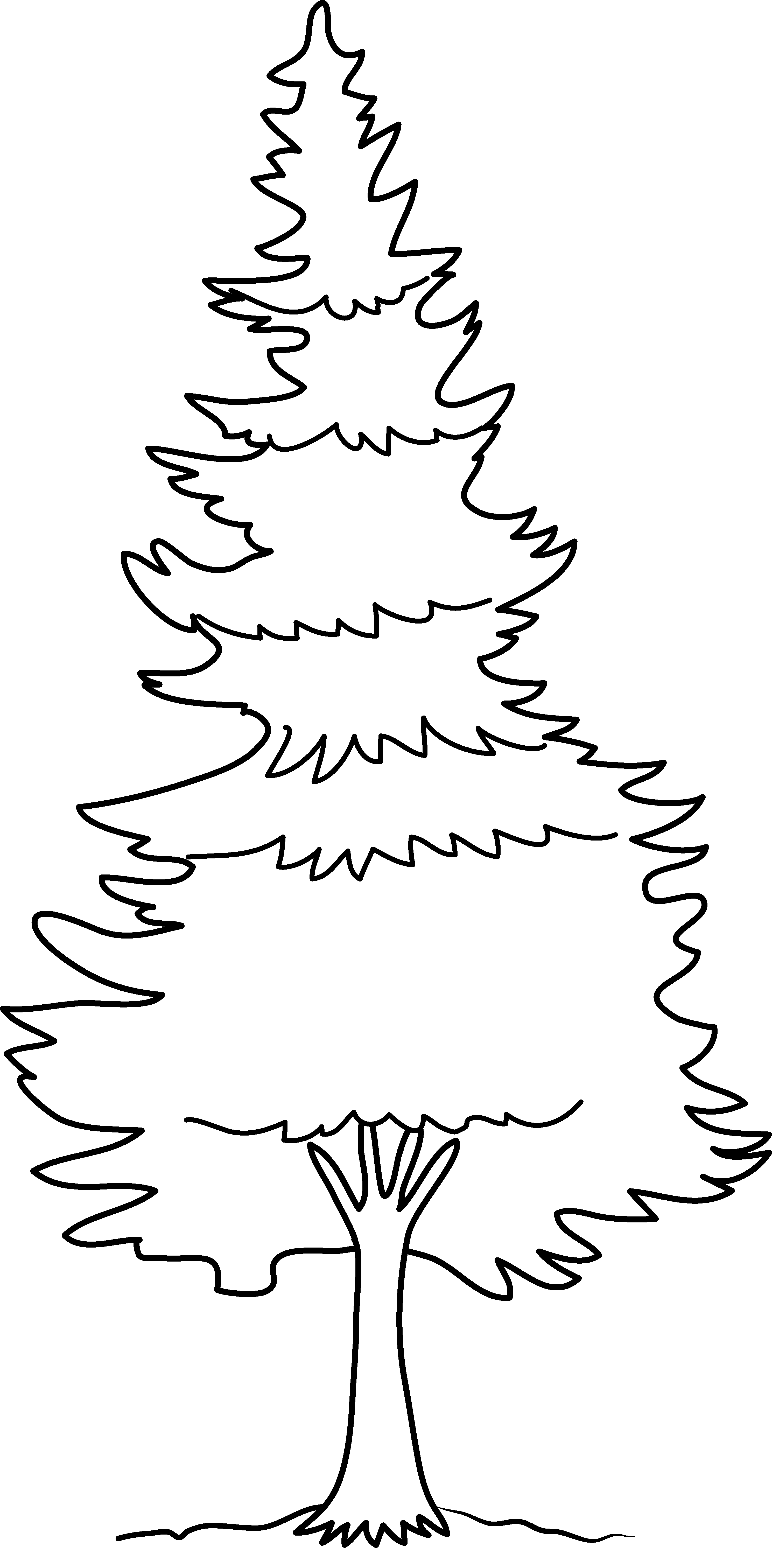 coloring clipart forest