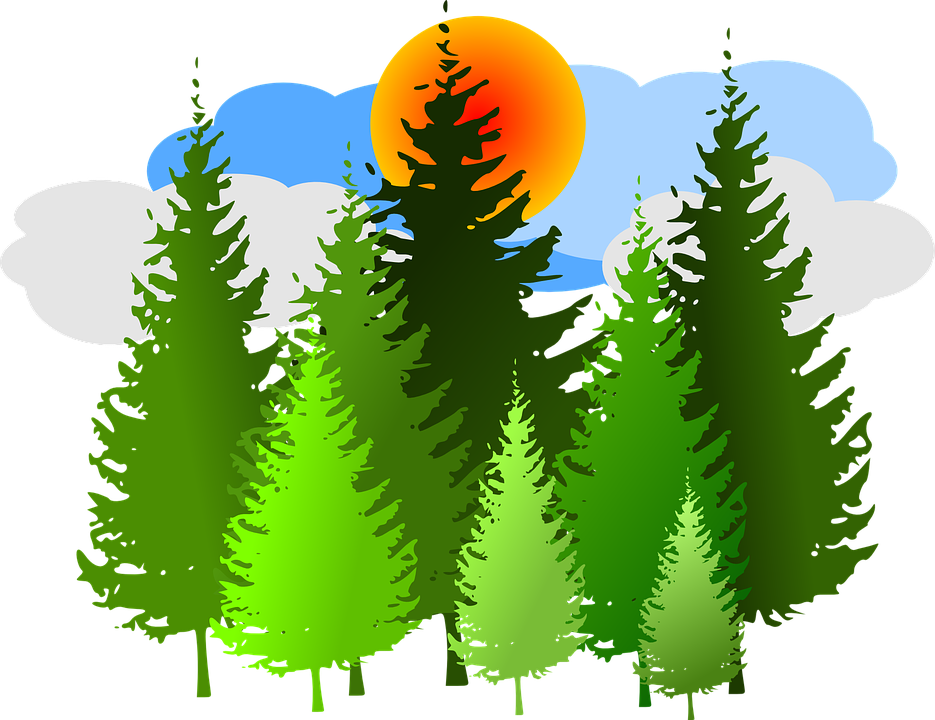 clipart forest pollution