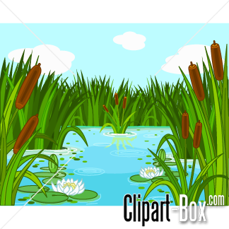 clipart lake pond reed