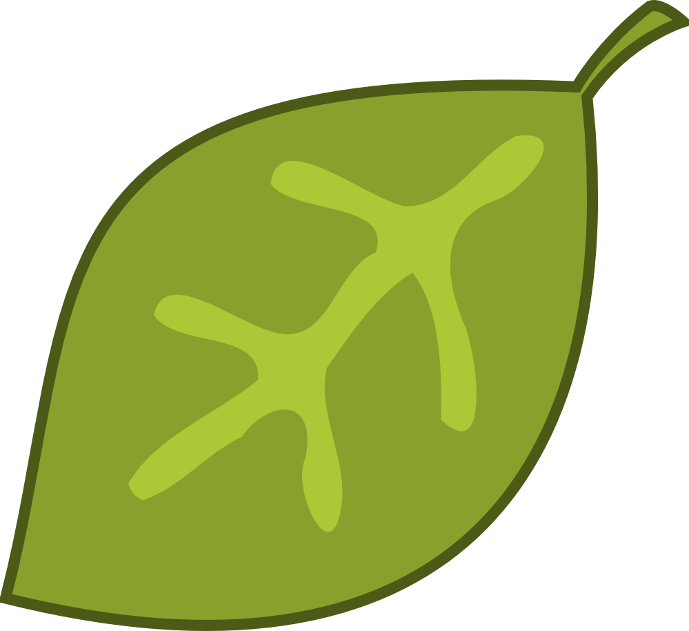  collection of leaf. Leaves clipart rainforest