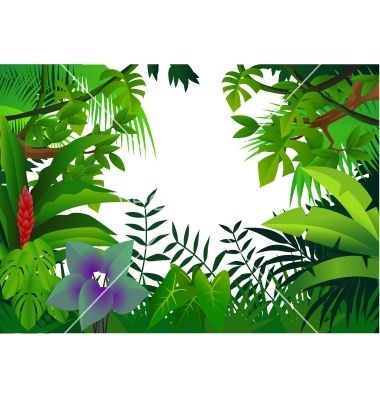 Jungle clipart tropical rainforest. Animals drawing rain forest