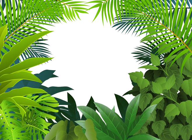 Tropical jungle tropics clip. Leaves clipart rainforest