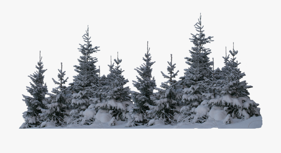 Ftestickers winter trees freetoedit. Clipart forest snow