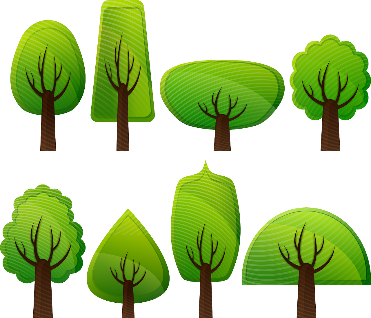 At getdrawings com free. Clipart forest temperate deciduous forest