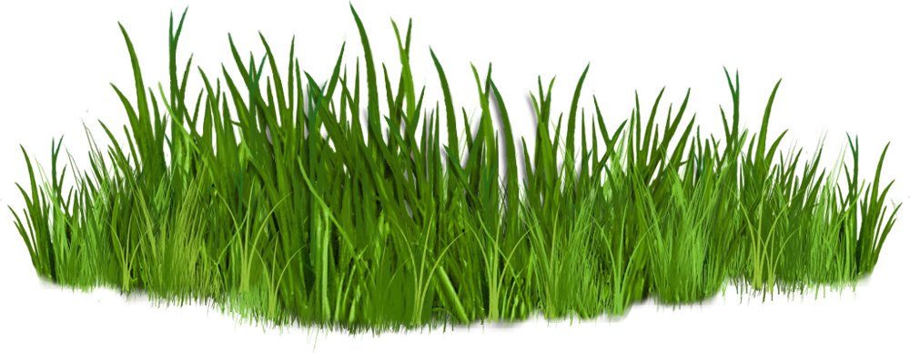 corner clipart grass