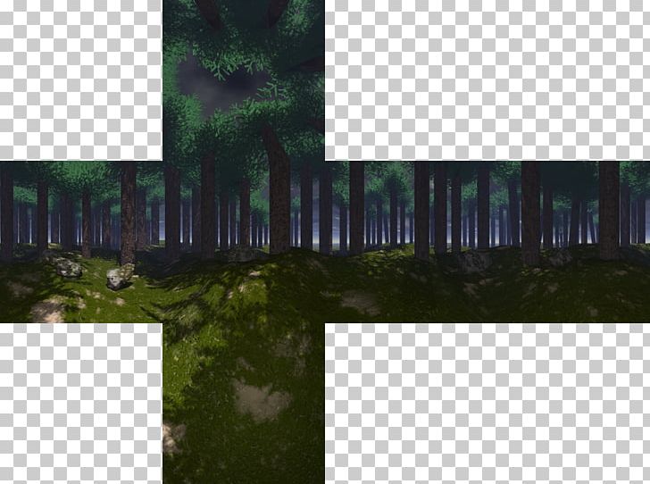 clipart forest texture
