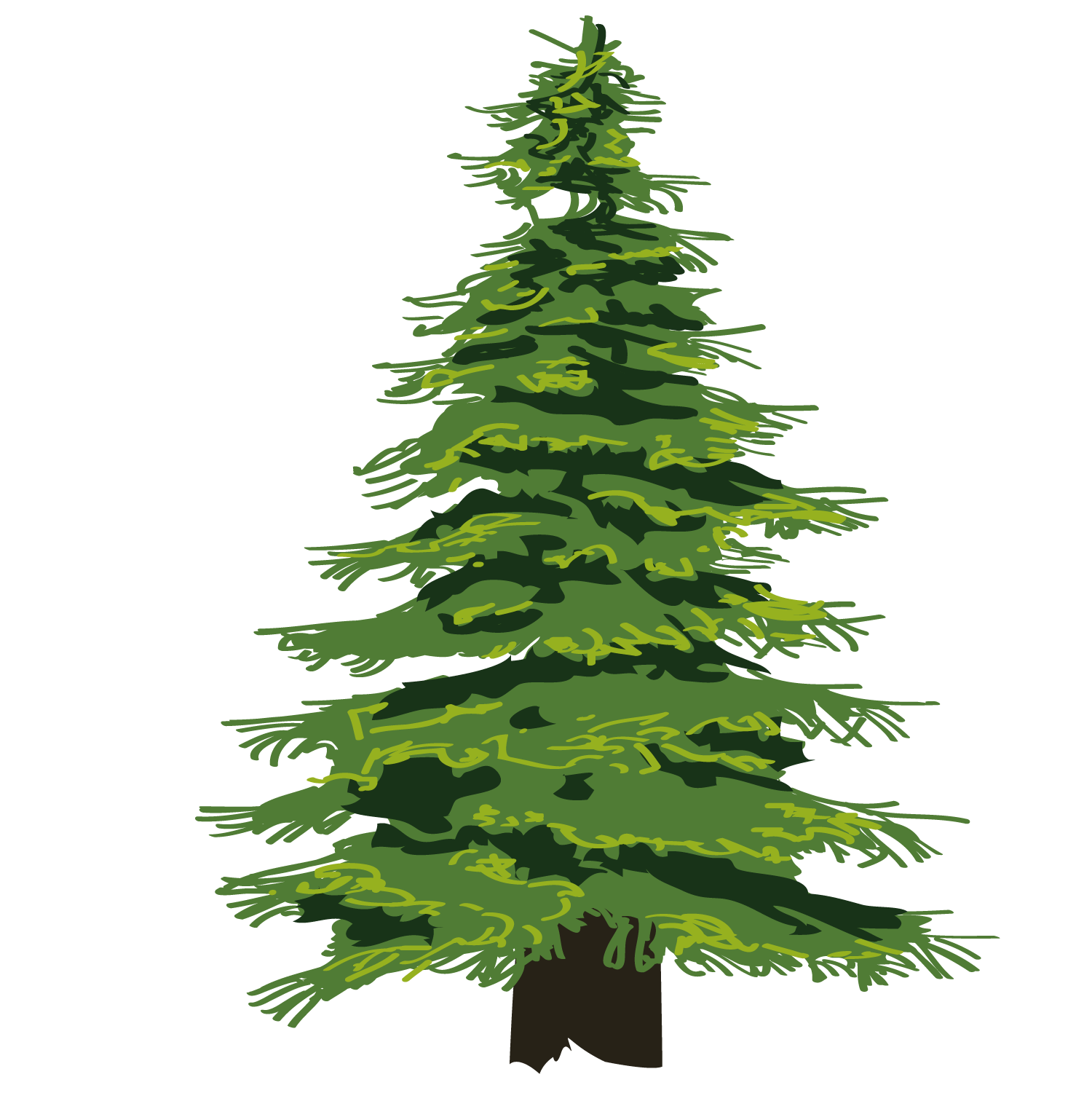 clipart tree evergreen